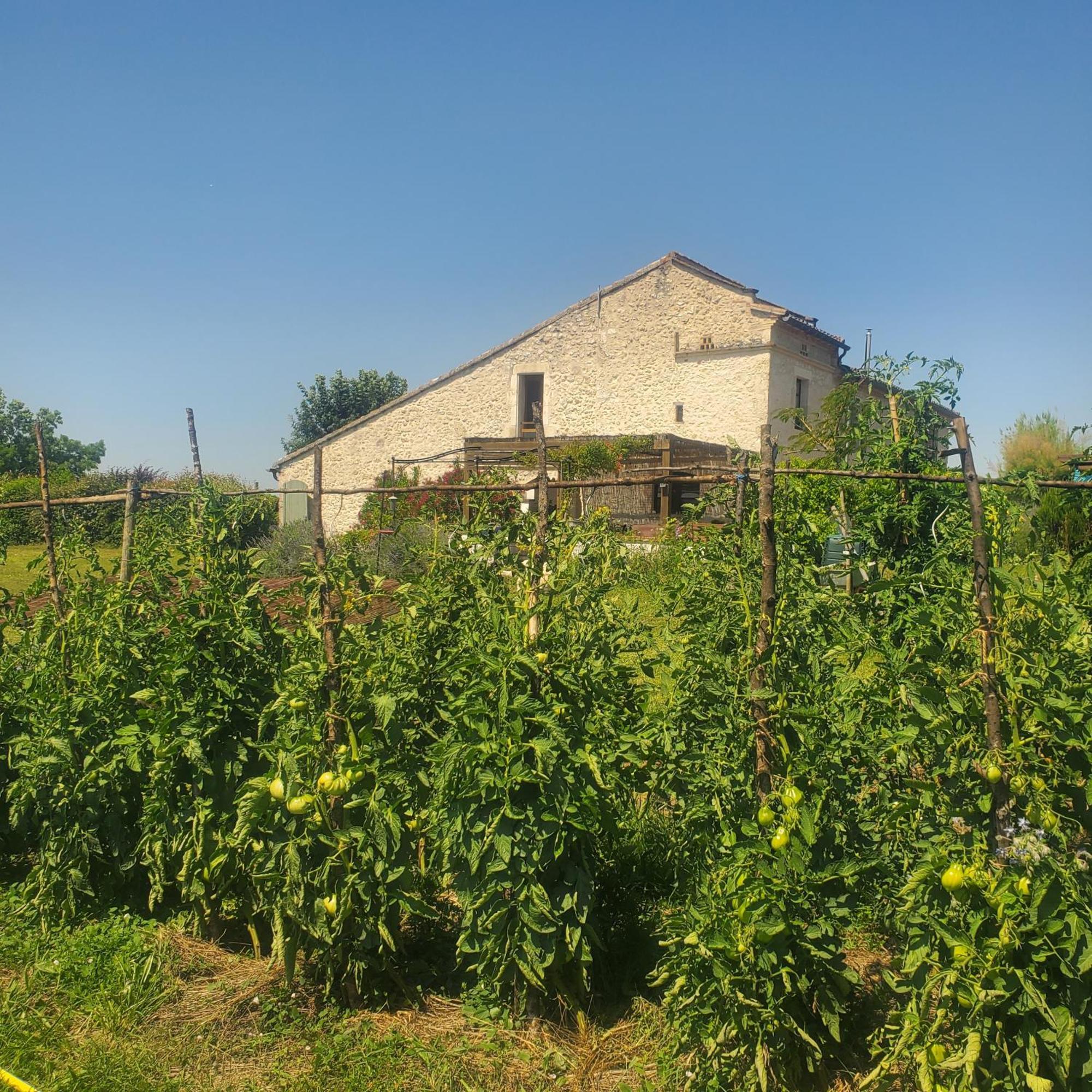 Hotel Au Mas De Janita Cahuzac-sur-Vère Zewnętrze zdjęcie
